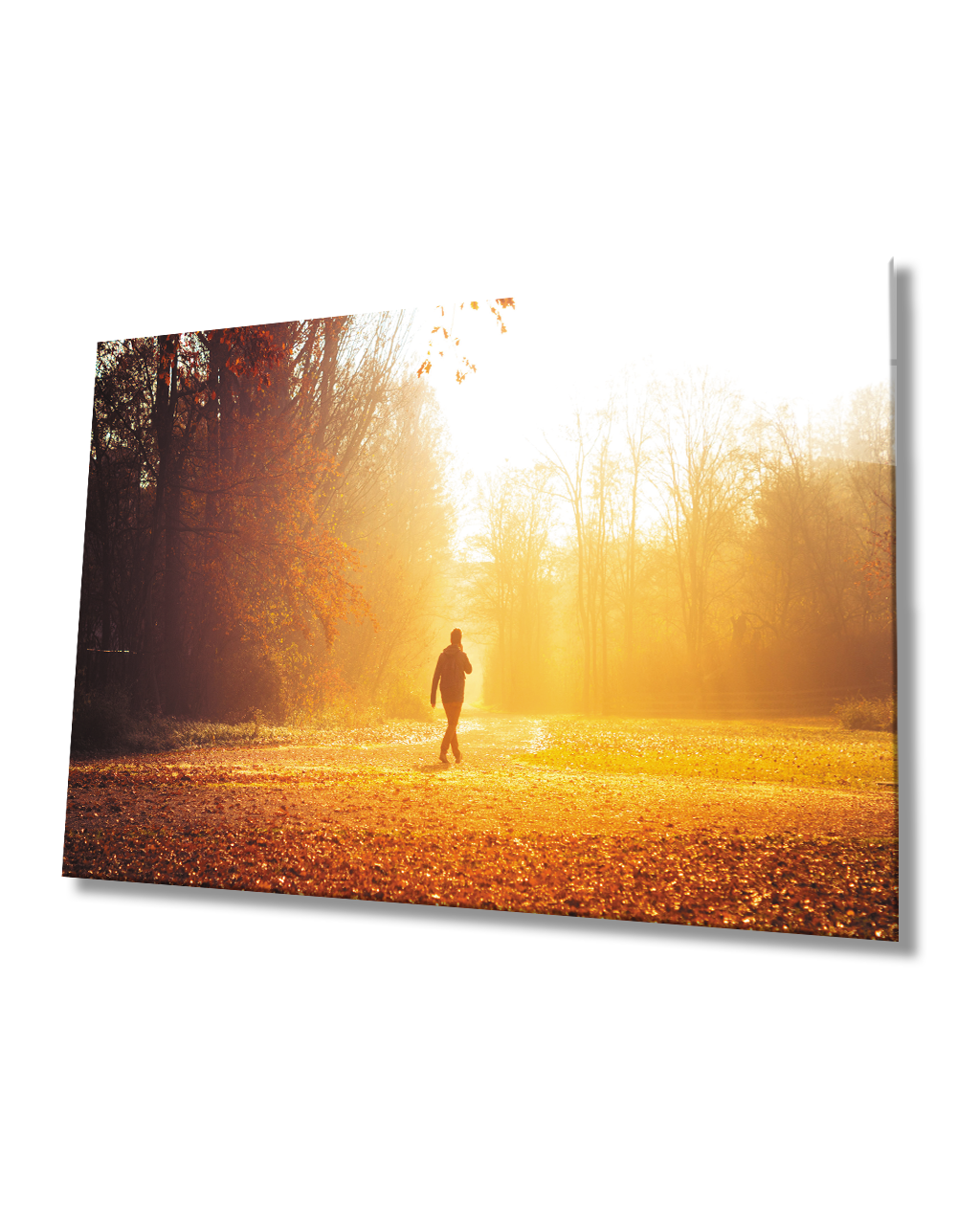 Gün Batımında Ağaçlar Arasında Yürüyen Adam Cam Tablo  4mm Dayanıklı Temperli Cam Man Walking Among Trees At Sunset Glass Table 4mm Durable Tempered Glass
