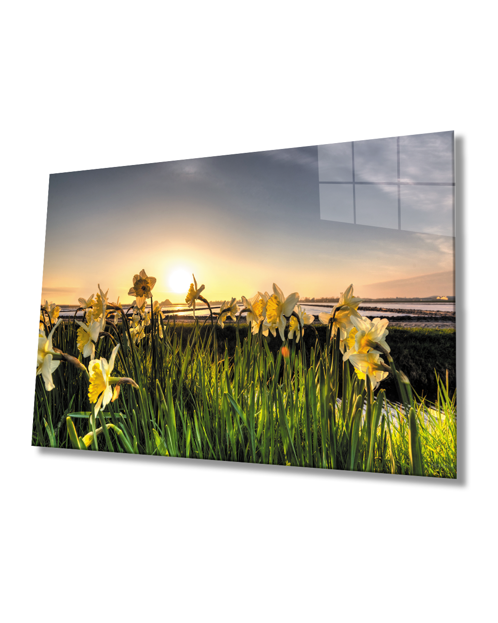 Gün Batımında Sarı Çiçekler Cam Tablo  4mm Dayanıklı Temperli Cam Yellow Flowers At Sunset Glass Table 4mm Durable Tempered Glass