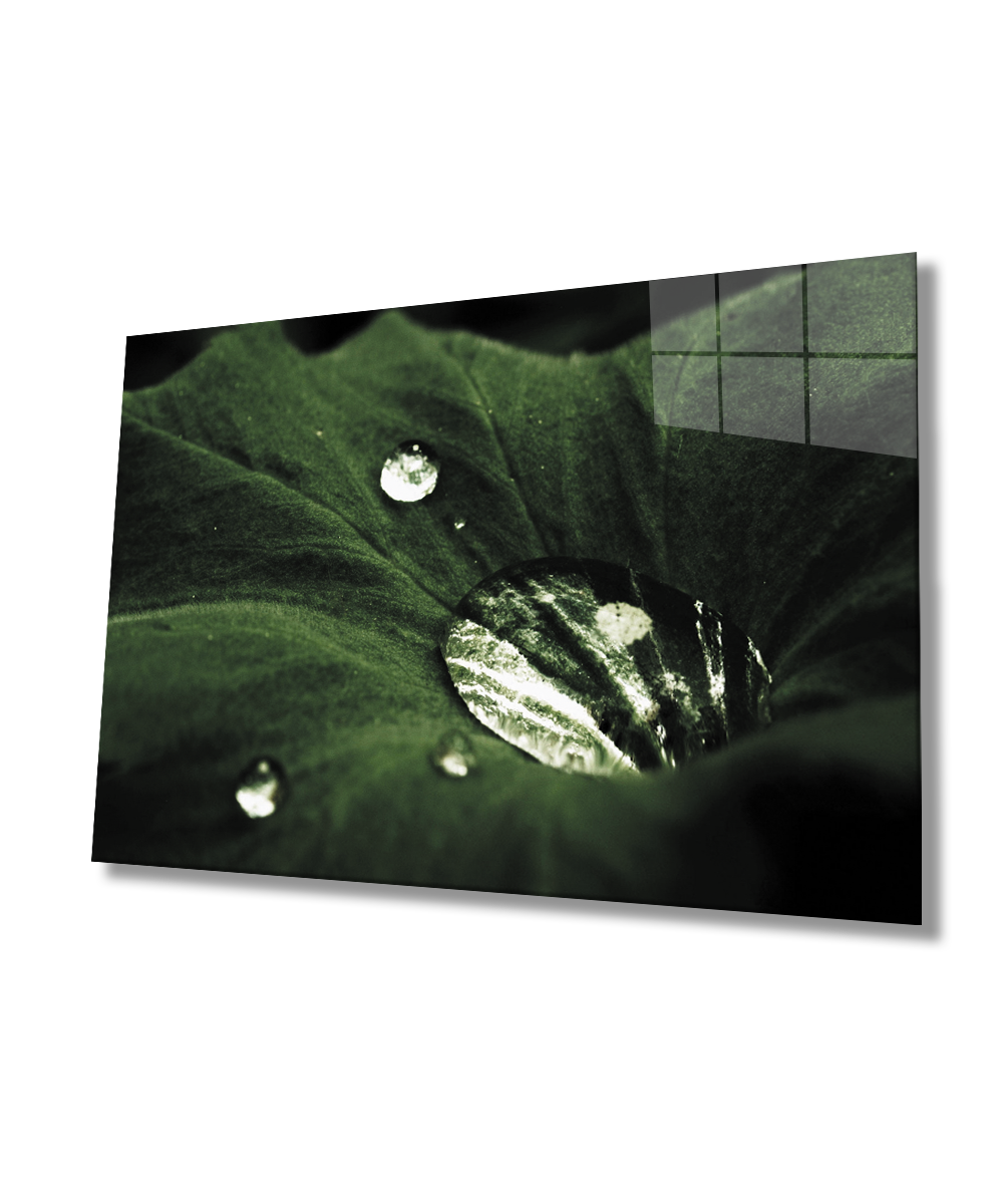 Yeşil Yapraklar Su Damlası Cam Tablo  4mm Dayanıklı Temperli Cam  Green Leaves Water Drop Glass Wall Art