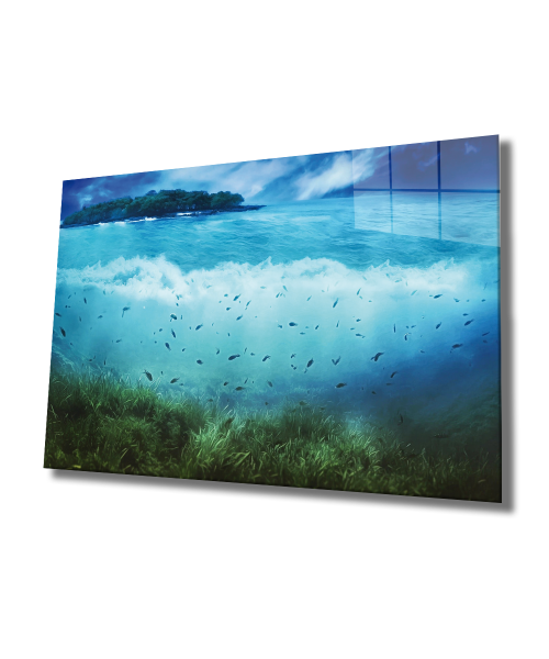 Sualtı Cam Tablo  4mm Dayanıklı Temperli Cam, Marine Life Glass Wall Art