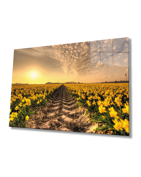 Gün Batımı Toprak Sarı Çiçekler Cam Tablo  4mm Dayanıklı Temperli Cam Sunset Earth Yellow Flowers Glass Table 4mm Durable Tempered Glass
