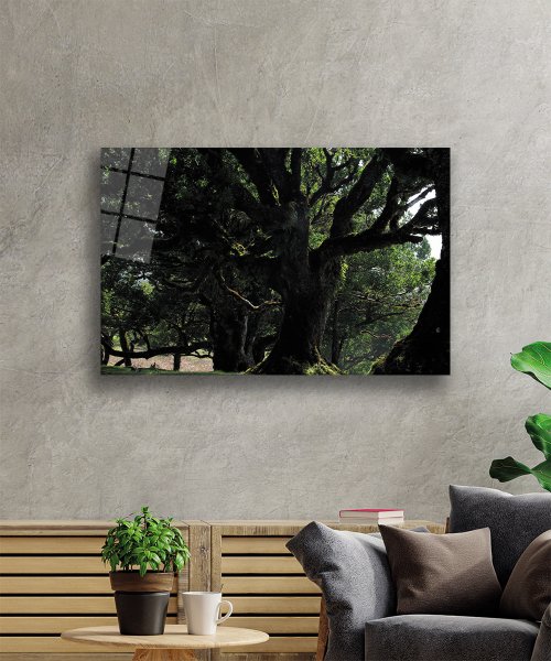 Yeşil  Ağaç Manzara  Cam Tablo  4mm Dayanıklı Temperli Cam Green Tree Landscape Glass Wall Art