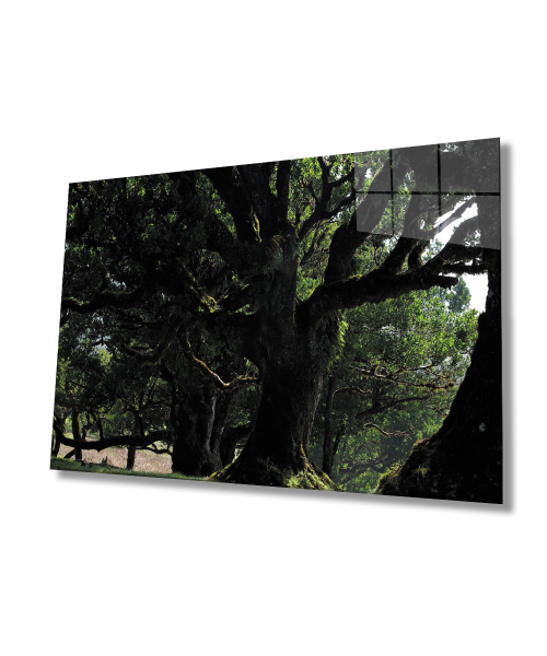 Yeşil  Ağaç Manzara  Cam Tablo  4mm Dayanıklı Temperli Cam Green Tree Landscape Glass Wall Art