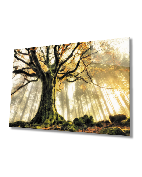 Gün Batımında  Ağaçlar Cam Tablo  4mm Dayanıklı Temperli Cam Trees At Sunset Glass Table 4mm Durable Tempered Glass