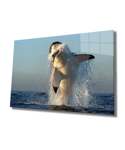 Köpek Balığı Cam Tablo  4mm Dayanıklı Temperli Cam, Shark Glass Wall Art