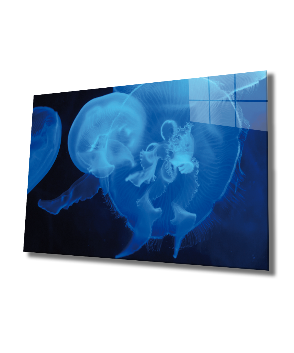 Mavi Denizanası Cam Tablo  4mm Dayanıklı Temperli Cam, Blue Jellyfish Glass Wall Art