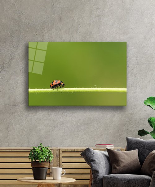 Yeşil Yaprak Uğur Böceği Cam Tablo  4mm Dayanıklı Temperli Cam Green Leaf Ladybug Glass Wall Art