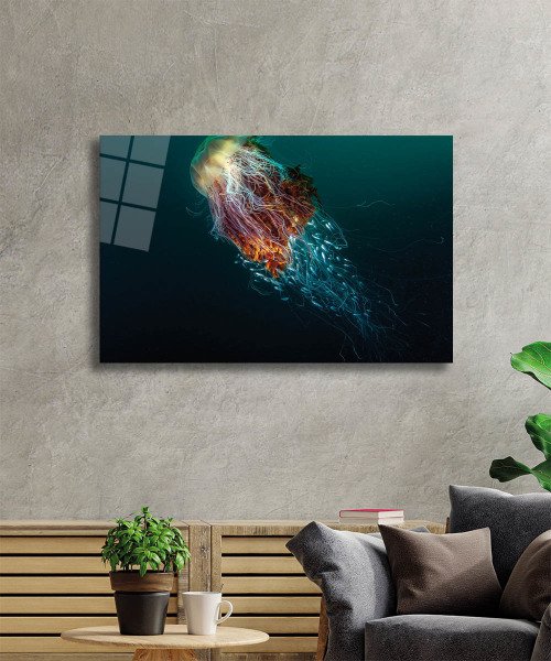 Denizanası Cam Tablo  4mm Dayanıklı Temperli Cam, Jellyfish Glass Wall Art