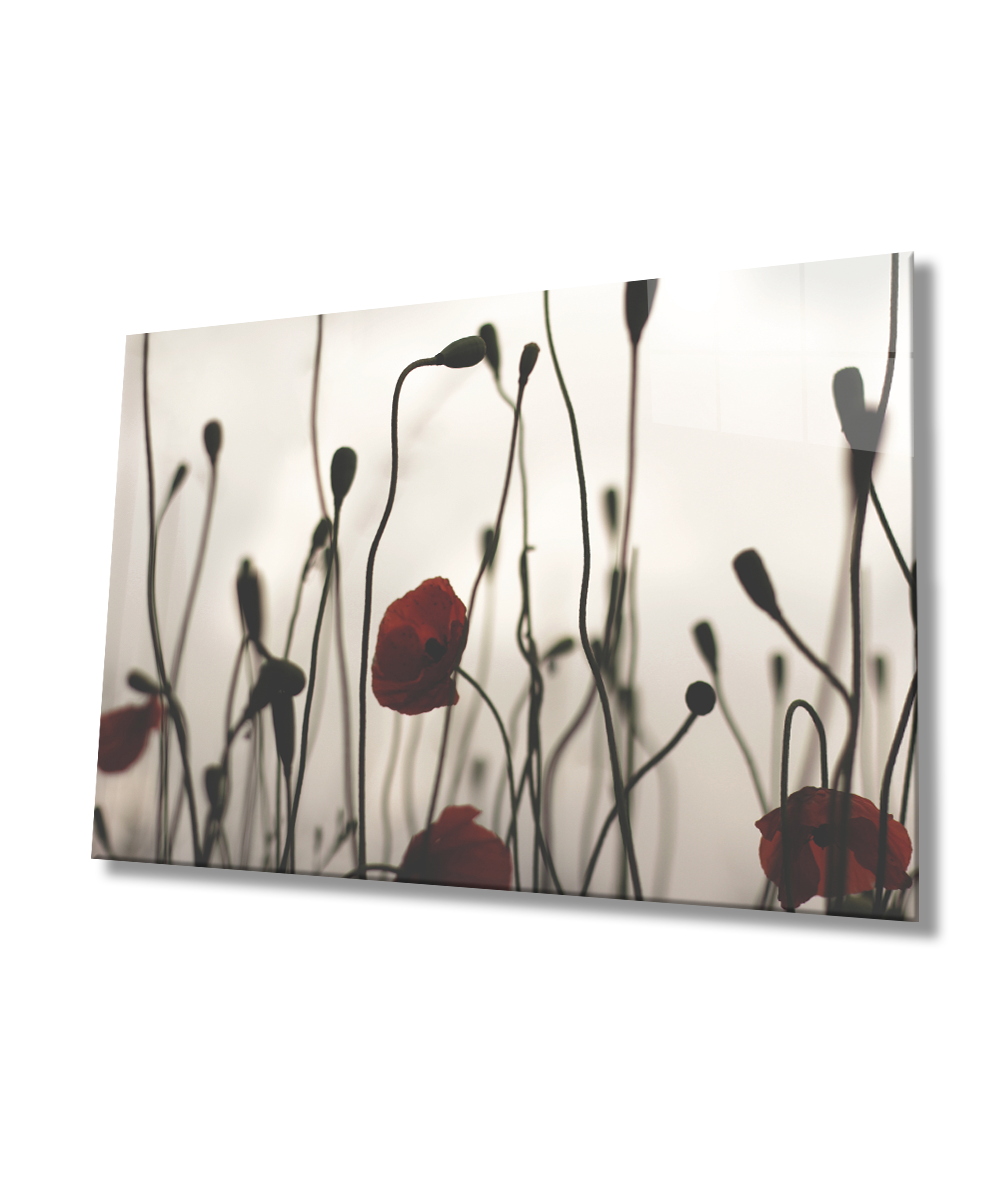 Gelincik Çiçeği Cam Tablo  4mm Dayanıklı Temperli Cam  Poppy Flower Glass Wall Art