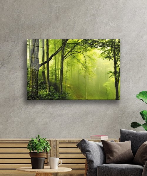 Ağaç Orman Yeşil Manzara Cam Tablo  4mm Dayanıklı Temperli Cam Tree Forest Green Landscape Glass Wall Art