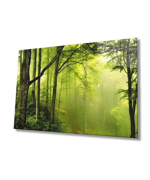 Ağaç Orman Yeşil Manzara Cam Tablo  4mm Dayanıklı Temperli Cam Tree Forest Green Landscape Glass Wall Art