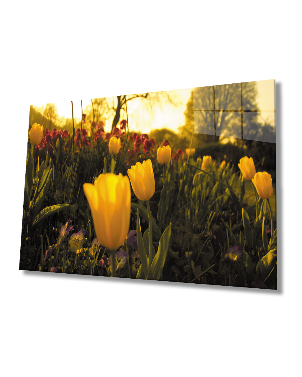 Gün Batımı Sarı Laleler  Cam Tablo  4mm Dayanıklı Temperli Cam Sunset Yellow Tulips Glass Table 4mm Durable Tempered Glass