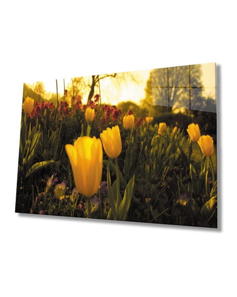 Gün Batımı Sarı Laleler  Cam Tablo  4mm Dayanıklı Temperli Cam Sunset Yellow Tulips Glass Table 4mm Durable Tempered Glass