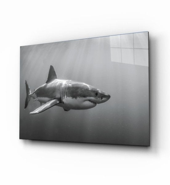 idealizbiz  Köpek Balığı  4mm Dayanıklı  Cam Tablo Temperli Cam