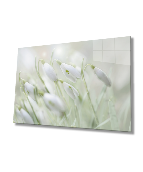 Kardelen Çiçeği Cam Tablo  4mm Dayanıklı Temperli Cam Snowdrop Flower Glass Wall Art