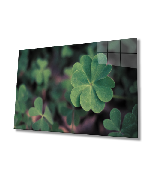 Yeşil Bitki Cam Tablo  4mm Dayanıklı Temperli Cam  Green Plant Glass Wall Art