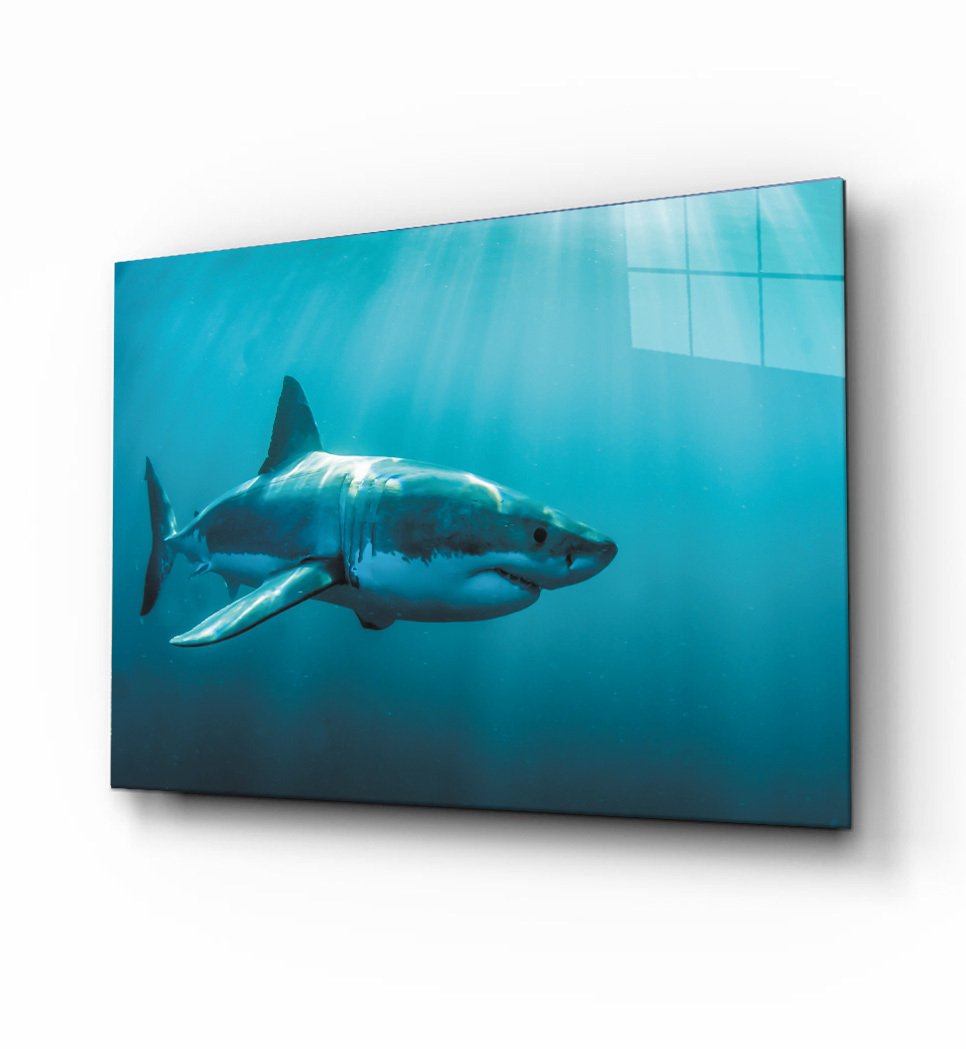 Köpek Balığı  4mm Dayanıklı  Cam Tablo Temperli Cam
