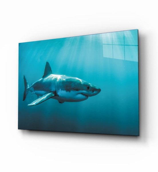 Köpek Balığı  4mm Dayanıklı  Cam Tablo Temperli Cam