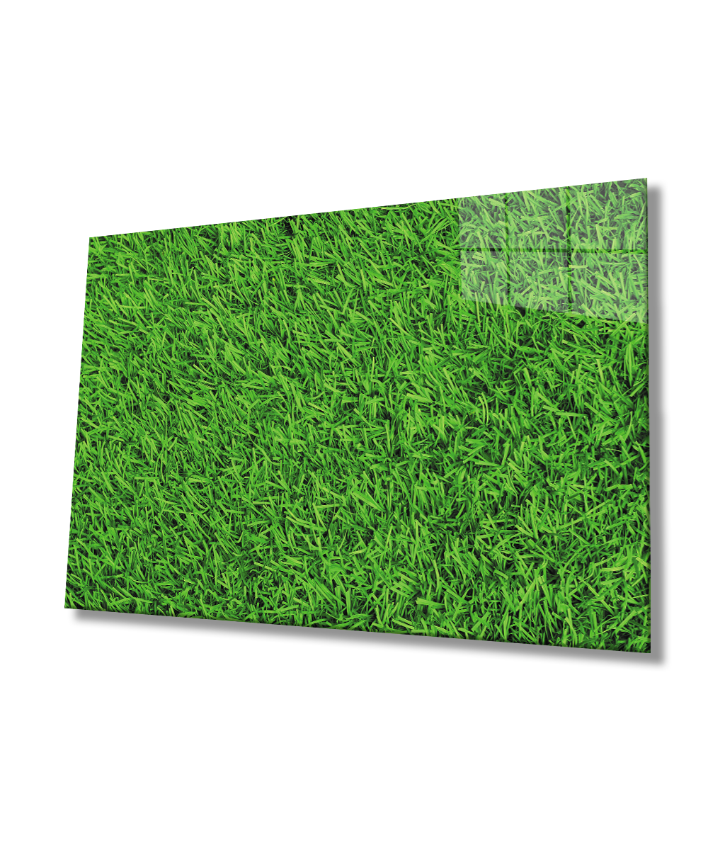 Yeşil Çimen Cam Tablo  4mm Dayanıklı Temperli Cam Green Grass Glass Wall  Art