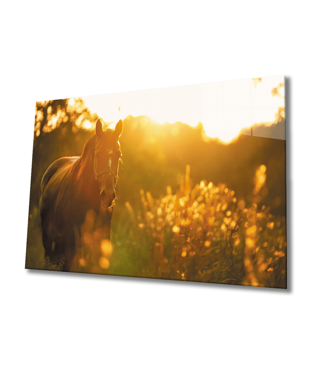 Doğada At 4mm Dayanıklı Cam Tablo Temperli Cam,Horse in Nature