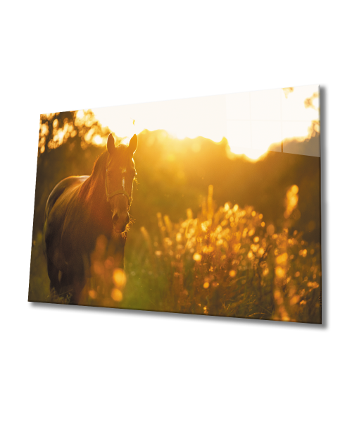 Doğada At 4mm Dayanıklı Cam Tablo Temperli Cam,Horse in Nature