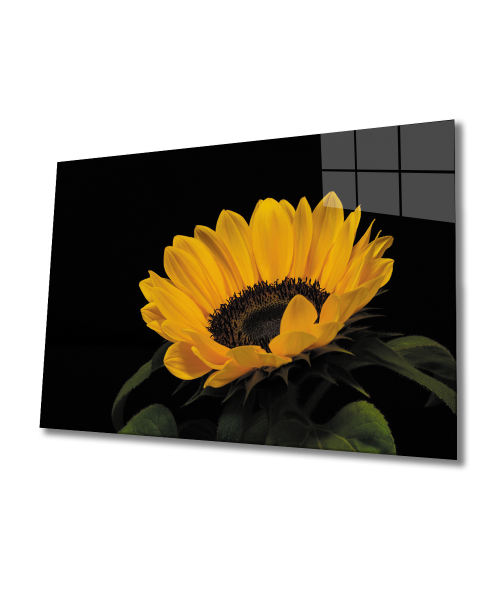Ay Çiçeği Günebakan 4mm Dayanıklı Cam Tablo Temperli Cam , Sunflower Glass Wall Art