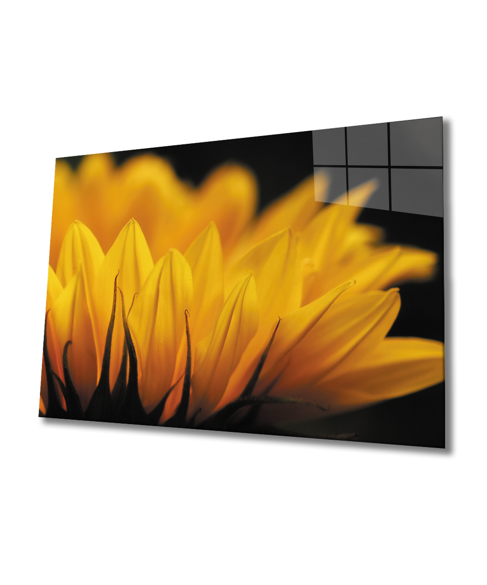 Ay Çiçeği Günebakan 4mm Dayanıklı Cam Tablo Temperli Cam , Sunflower Glass Wall Art