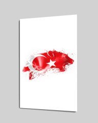 İdealizbiz Türk Bayrağı ve Pars Cam Tablo  4mm Dayanıklı Temperli Cam