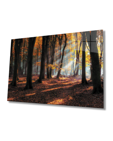 Gün Batımı Ağaçlar Manzara Cam Tablo  4mm Dayanıklı Temperli Cam Sunset Trees Landscape Glass Painting 4mm Durable Tempered Glass