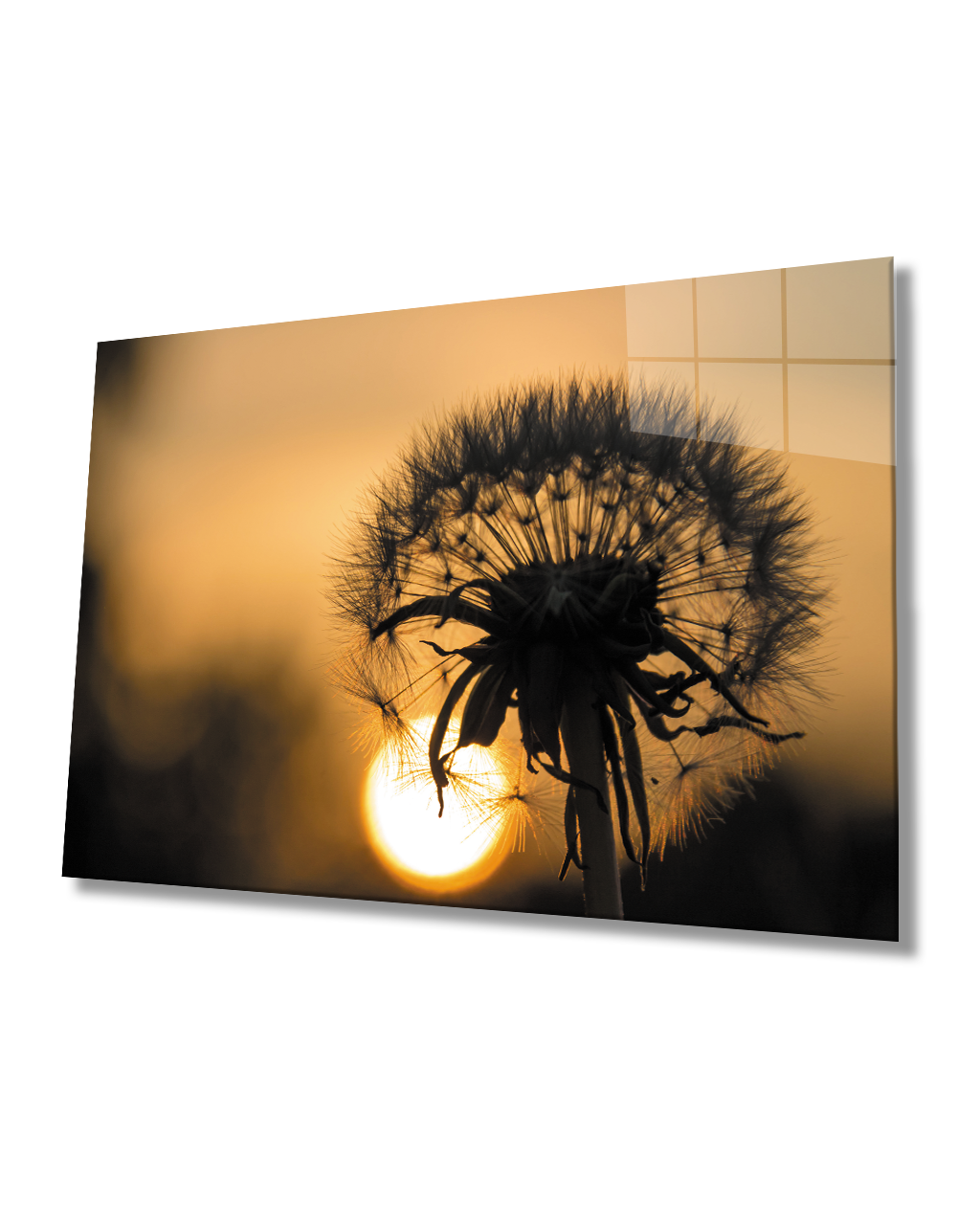 Gün Batımında Bitki  Cam Tablo  4mm Dayanıklı Temperli CamPlant Glass Table 4mm Durable Tempered Glass At Sunset