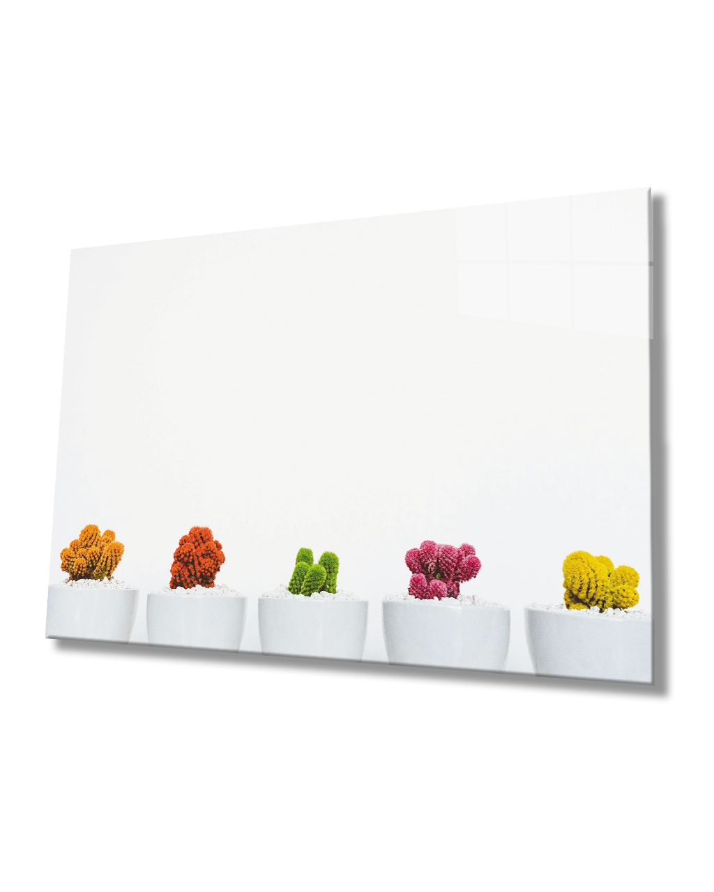 Beyaz Vazoda Kaktüs Çiçek Cam Tablo  4mm Dayanıklı Temperli CamCactus Flower Glass Table In White Vase 4mm Durable Tempered Glass