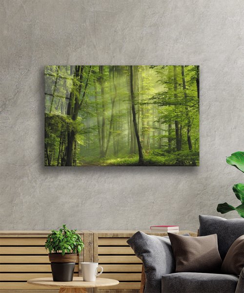 Ağaç Yeşil Orman Cam Tablo  4mm Dayanıklı Temperli Cam Tree Green Forest Glass Wall Art