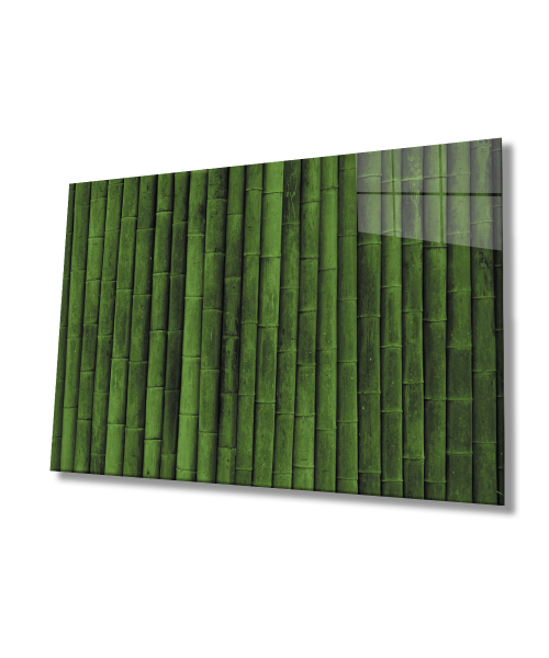 Yeşil Silindir  Bitki Cam Tablo  4mm Dayanıklı Temperli Cam  Green Cylinder Plant Glass Wall Art