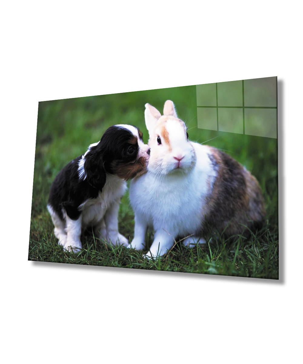 Köpek ve Tavşan Cam Tablo  4mm Dayanıklı Temperli Cam