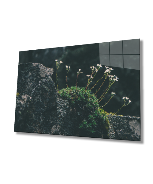 Manzara Çiçek  Yeşil Cam Tablo  4mm Dayanıklı Temperli Cam Landscape Flower Green Glass Wall Art