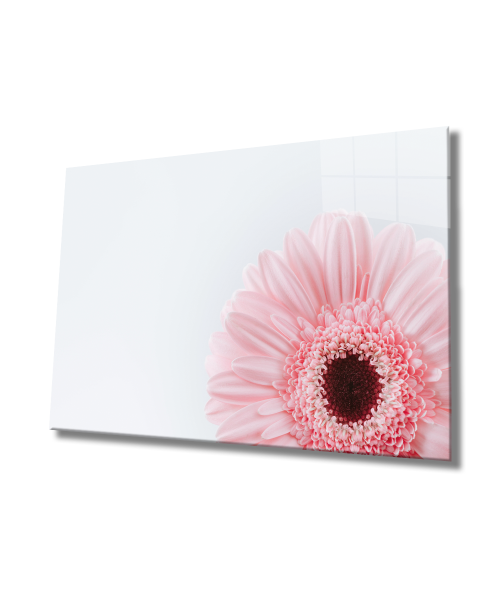 Çiçek İllüstrasyon Cam Tablo  4mm Dayanıklı Temperli Cam, Flower Illustration Art Glass Wall Decor