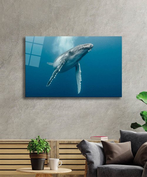 Sualtı Hayatı Cam Tablo  4mm Dayanıklı Temperli Cam, Marine Life Glass Wall Art