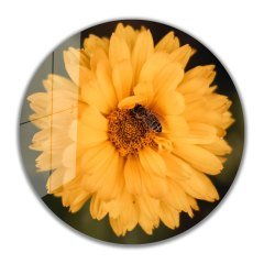Çiçek Yuvarlak Cam Tablo  4mm Dayanıklı Temperli Cam