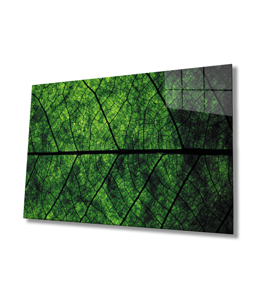 Yeşil Yaprak  Cam Tablo  4mm Dayanıklı Temperli Cam Green leaf Glass Wall Art