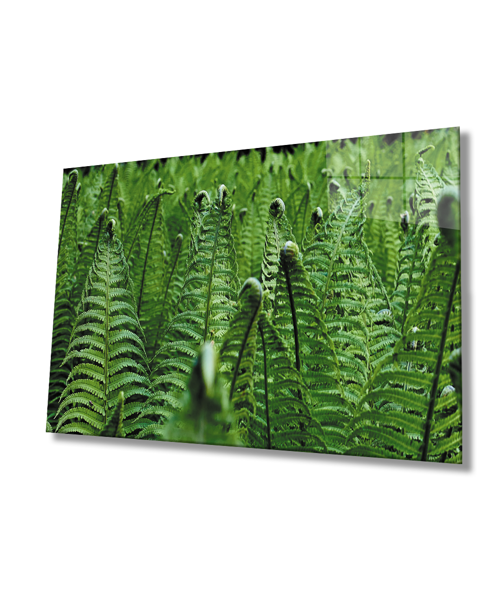 Yeşil Bitkiler Cam Tablo  4mm Dayanıklı Temperli Cam  Green Plants Glass Wall Art