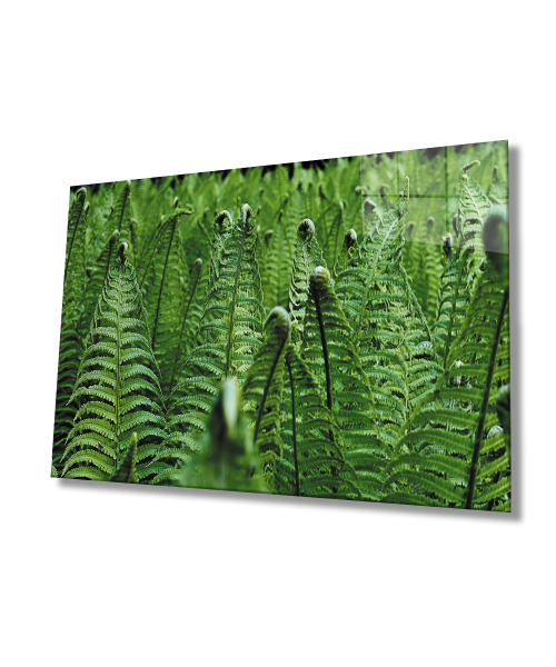 Yeşil Bitkiler Cam Tablo  4mm Dayanıklı Temperli Cam  Green Plants Glass Wall Art