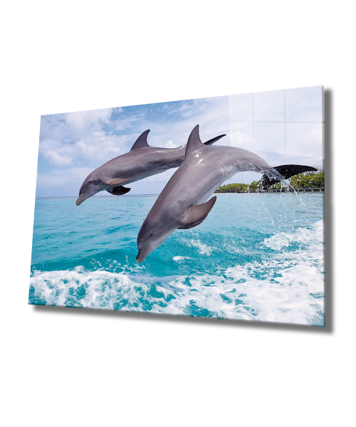 Yunus Balıkları Cam Tablo  4mm Dayanıklı Temperli Cam, Dolphins Glass Wall Art