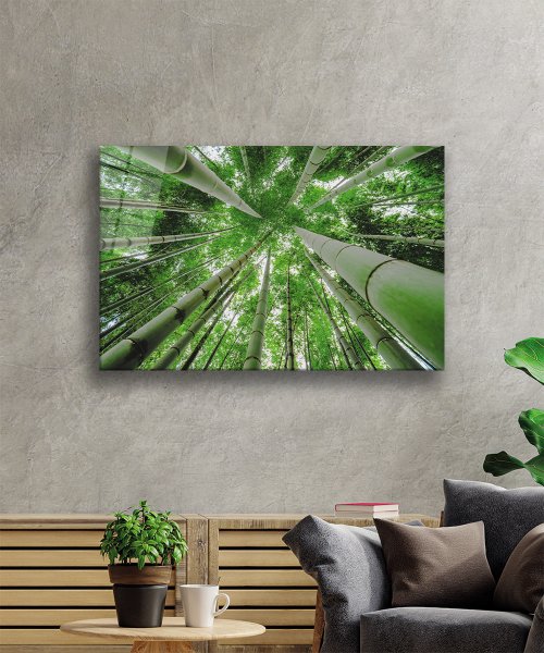 Aşağıdan Yukarı Yeşil  Ağaçlar  Cam Tablo  4mm Dayanıklı Temperli Cam Bottom Up Green Trees Glass Wall Art