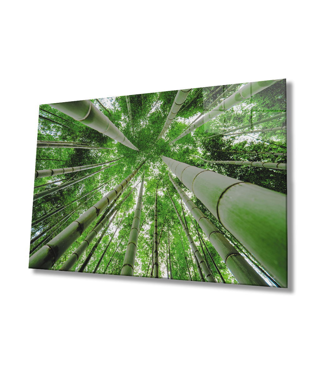 Aşağıdan Yukarı Yeşil  Ağaçlar  Cam Tablo  4mm Dayanıklı Temperli Cam Bottom Up Green Trees Glass Wall Art