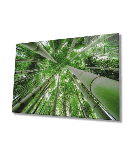 Aşağıdan Yukarı Yeşil  Ağaçlar  Cam Tablo  4mm Dayanıklı Temperli Cam Bottom Up Green Trees Glass Wall Art