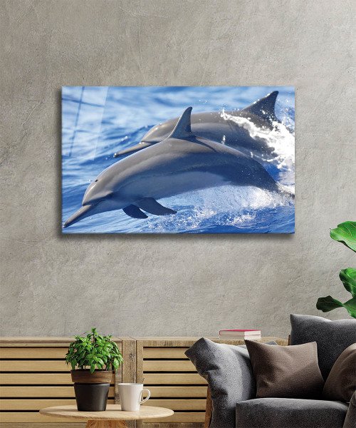 Yunus Balıkları Cam Tablo  4mm Dayanıklı Temperli Cam, Dolphins Glass Wall Art