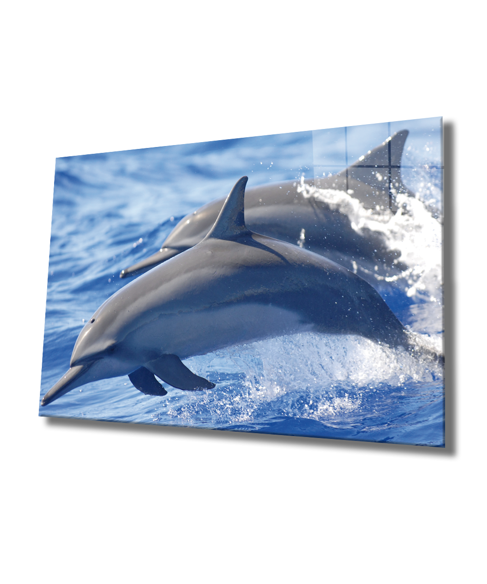 Yunus Balıkları Cam Tablo  4mm Dayanıklı Temperli Cam, Dolphins Glass Wall Art