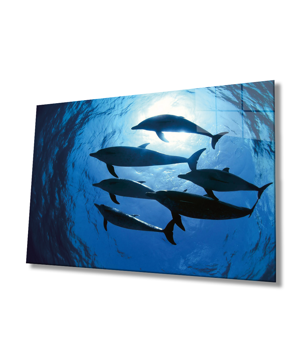 Yunus Balıkları Sualtı Cam Tablo  4mm Dayanıklı Temperli Cam