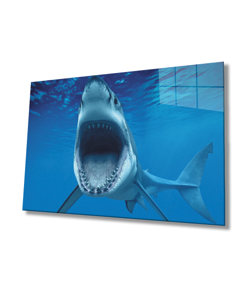 Köpek Balığı  Cam Tablo  4mm Dayanıklı Temperli Cam