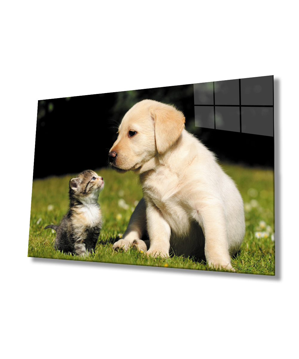 Kedi ve Köpek Cam Tablo  4mm Dayanıklı Temperli Cam